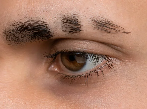 Augenbrauen Rasieren Fake Narben Der Augenbraue Augenbrauen Stil lizenzfreie Stockbilder