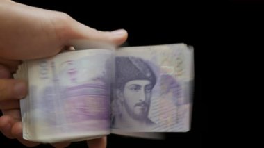 Nakit Para Lari ve Bitcoin, Gürcü Lari, Btc, Jel