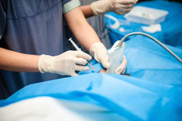 Doktor Ultrason Rehberliğinde Kan Damarlarına Şırıngayla Enjekte Edildi — Stok fotoğraf
