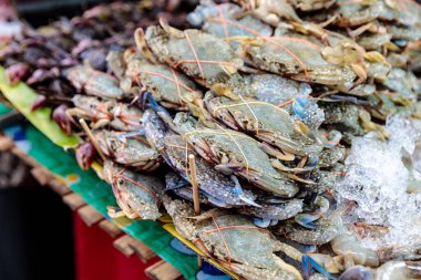 Markette, Tayland sokak yemeklerinde pişirmek için buzlu yengeç.