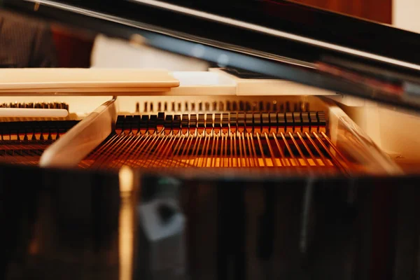 Крупним Планом Візерунок Молотків Струн Всередині Грандіозного Піаніно — стокове фото