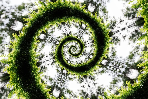 Zielony Liście Drzewo Gałąź Spiralny Abstrakcyjny Efekt Fraktalny Wzór Tło — Zdjęcie stockowe