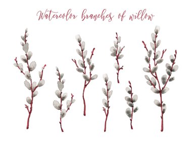 Set of cute watercolor willow twigs. Isolated on white background clipart