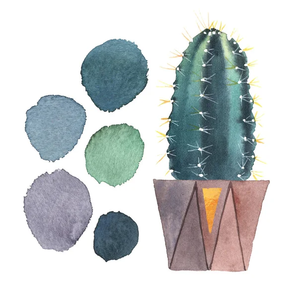 Cactus Acuarela Una Olla Una Colección Manchas Colores Aislado Sobre —  Fotos de Stock