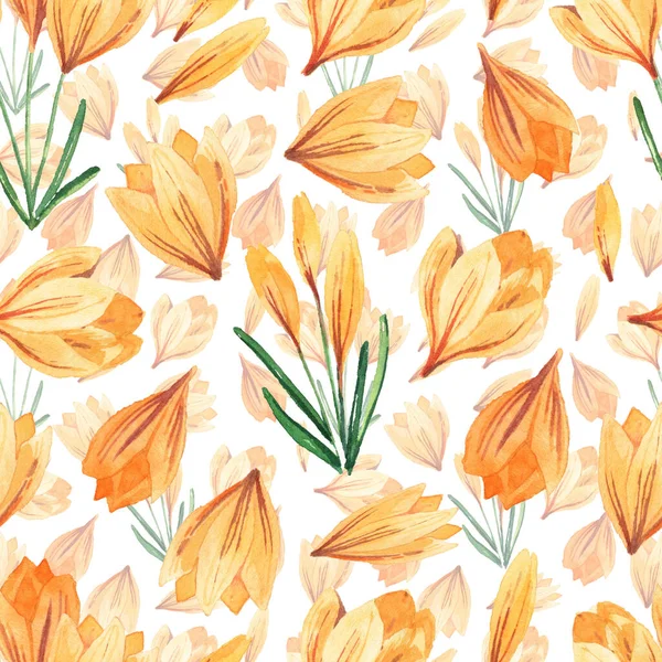 Patrón Sin Costuras Con Crocos Acuarela Flores Brillantes Primavera Sobre — Foto de Stock