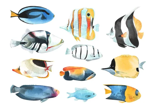 Ensemble Poissons Tropicaux Dans Style Aquarelle Isolé Sur Fond Blanc — Photo