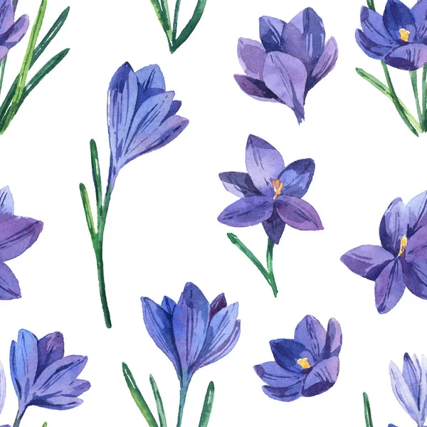 Seamless Pattern Watercolor Crocuses Spring Bright Flowers White Background Seamless — Stock Photo, Image