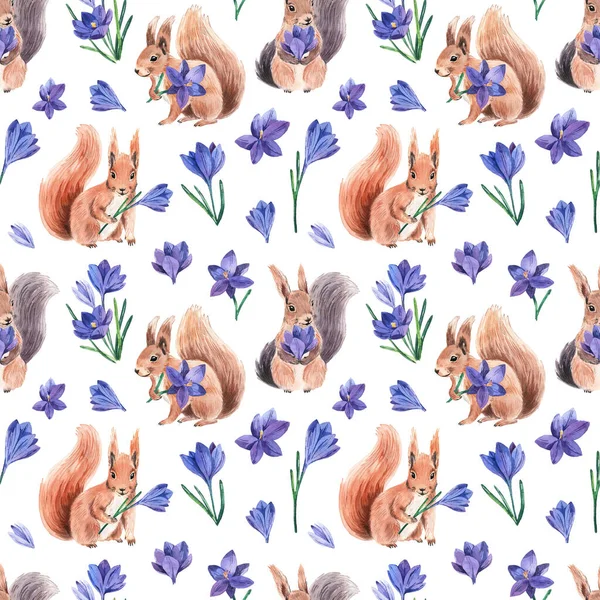 Seamless Pattern Cute Squirrel Bright Crocus Spring Bright Colors Textiles — Stock Photo, Image