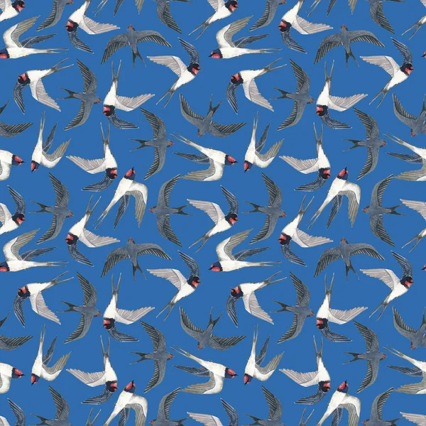 Watercolor Pattern Cute Swallows Dark Background Seamless Pattern — Stock Photo, Image