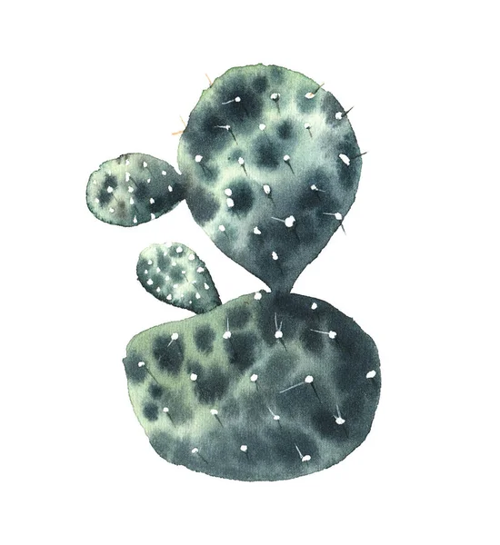 Cactus Aquarelle Dans Pot Une Collection Taches Colorées Isolé Sur — Photo