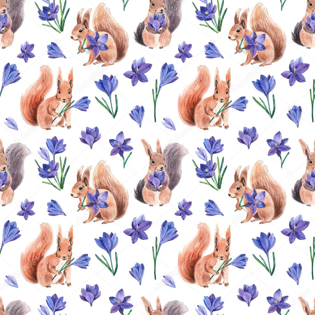 Seamless pattern with cute squirrel and bright crocus. Spring bright colors for textiles, cards, packaging. On white background