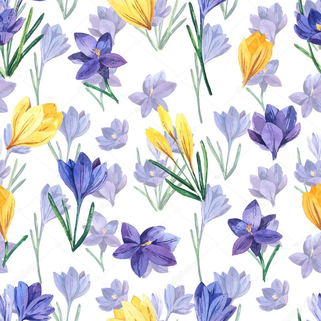 Seamless pattern with watercolor crocuses. Spring bright flowers on a white background. Seamless background for textiles