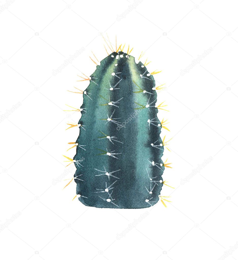 Decorative cactus, in light watercolor style. Isolated on white background