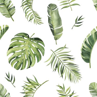 Güzel suluboya tropikal yapraklı desen. Tropik bölgeler. Gerçekçi tropik yapraklar. Beyaz arkaplanda