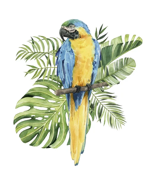 Print Beautiful Watercolor Parrots Tropical Leaves Tropics Realistic Tropical Leaves — Stock Photo, Image