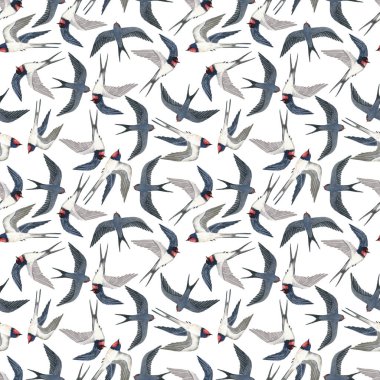 Şirin kırlangıçlarla suluboya deseni. Beyaz bir arka planda. Kusursuz desen