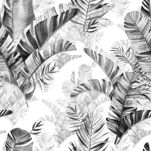 水彩斑斓的热带树叶图案 热带地区 现实的热带树叶 黑色和白色风格 白色背景 — 图库照片
