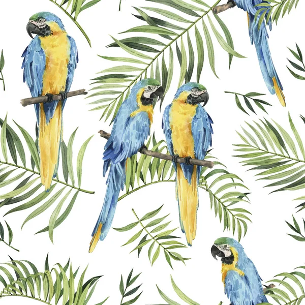 Pattern Beautiful Watercolor Parrots Tropical Leaves Tropics Realistic Tropical Leaves — Stock Photo, Image