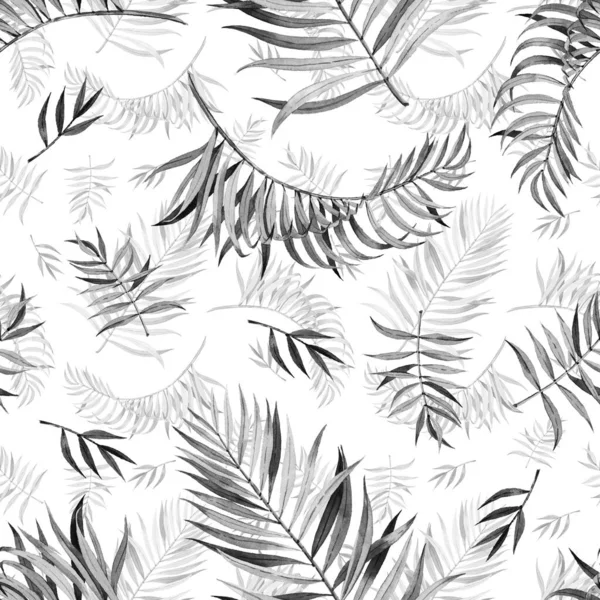 Pattern Beautiful Watercolor Tropical Leaves Tropics Realistic Tropical Leaves Black — Stock Photo, Image