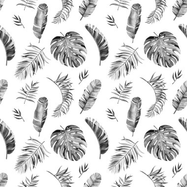 Güzel suluboya tropikal yapraklı desen. Tropik bölgeler. Gerçekçi tropik yapraklar. Siyah-beyaz tarzında. Beyaz arkaplanda