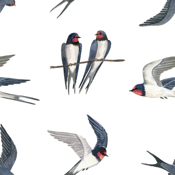 Watercolor Pattern Cute Swallows White Background Seamless Pattern — Stock Photo, Image