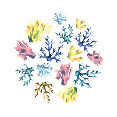 Narin suluboya mercanları olan yuvarlak bir iz. Beyaz arkaplanda izole nesneler