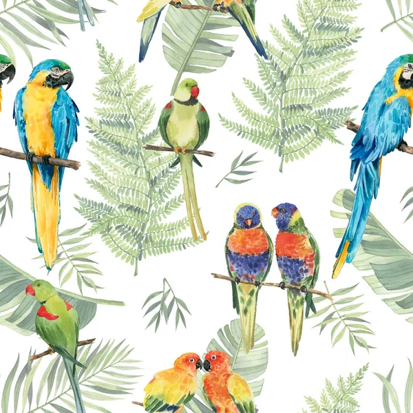 Pattern Beautiful Watercolor Parrots Tropical Leaves Tropics Realistic Tropical Leaves — Stock Photo, Image