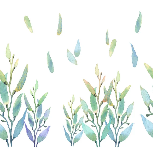Aquarelpatroon Met Delicate Algen Een Witte Achtergrond — Stockfoto