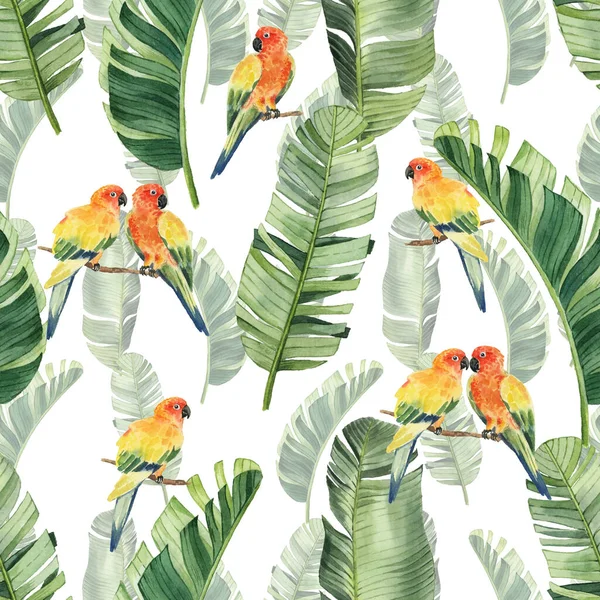 Pattern Beautiful Watercolor Parrots Tropical Leaves Tropics Realistic Tropical Leaves — Stock Photo, Image