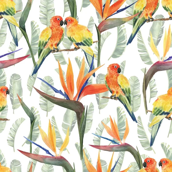 Pattern Beautiful Watercolor Tropical Flowers Parrots Tropics Realistic Tropical Birds — Stock Photo, Image