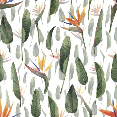 Güzel suluboya tropikal çiçek ve yapraklı desen. Tropik bölgeler. Gerçekçi tropik yapraklar. Tropik çiçekler. Beyaz arkaplanda