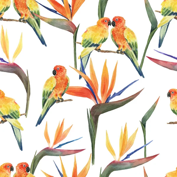 Pattern Beautiful Watercolor Tropical Flowers Parrots Tropics Realistic Tropical Birds — Stock Photo, Image