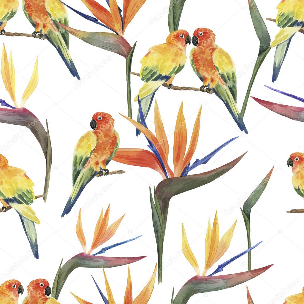 Pattern with beautiful watercolor tropical flowers and parrots. Tropics. Realistic tropical birds. Tropical flowers. On white background