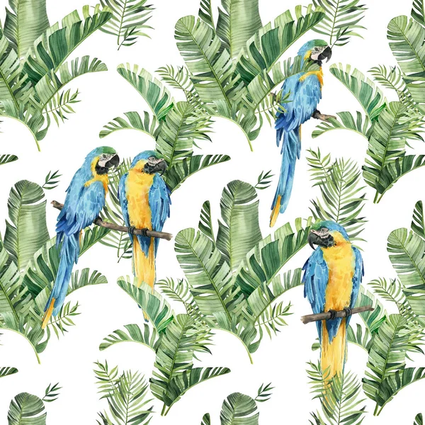 Pattern Beautiful Watercolor Parrots Tropical Leaves Tropics Realistic Tropical Leaves — Stock Photo, Image