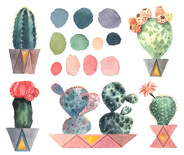 Conjunto Cactus Maceta Manchas Acuarela Multicolores Aislado Sobre Fondo Blanco —  Fotos de Stock