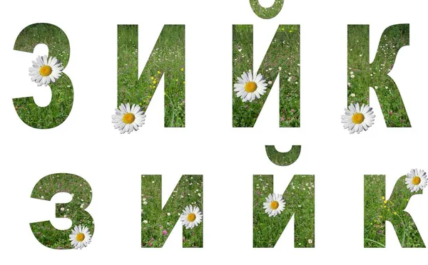 Collage: set of uppercase and lowercase letters of the Russian alphabet from grass and flowers on a white background. It\'s not a word, just letters z, i, k. There is no translation