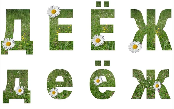 Collage: set of uppercase and lowercase letters of the Russian alphabet from grass and flowers on a white background. It\'s not a word, just letters d, e, je, g. There is no translation