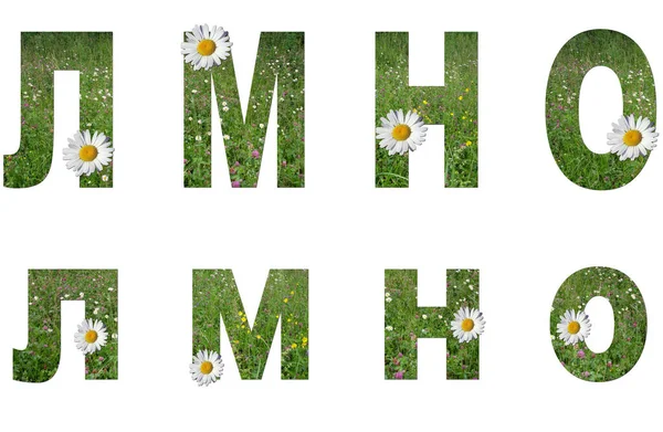Collage: set of uppercase and lowercase letters of the Russian alphabet from grass and flowers on a white background. It\'s not a word, just letters d, e, je, g. There is no translation