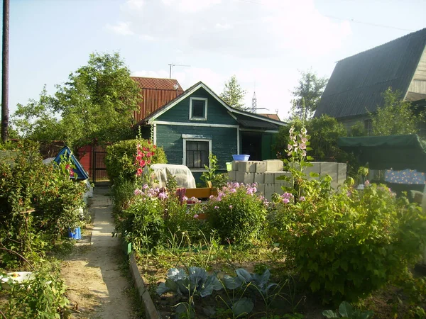 Russian small suburban area with garden plants and flowers, bushes, greenhouses and a small old house.