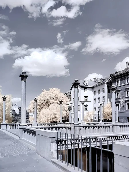 Şehir nehri üzerindeki köprü. OnePlus 8 Pro Kızılötesi Kamera 'da çekildi. Ljubljana / Slovenya, 14 Mayıs 2020