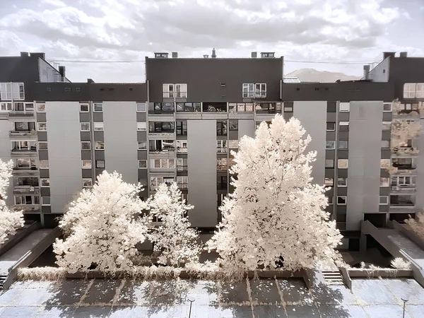 Pencereden bak. OnePlus 8 Pro Kızılötesi Kamera 'da çekildi. Ljubljana / Slovenya, 14 Mayıs 2020