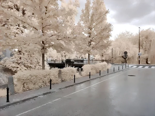 Şehirdeki yol. OnePlus 8 Pro Kızılötesi Kamera 'da çekildi. Ljubljana / Slovenya, 14 Mayıs 2020