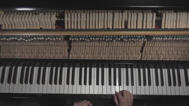 男2人の手はグランドピアノで穏やかなクラシック音楽を演奏します プロのピアニスト — ストック動画