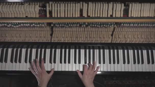 Homme Deux Mains Joue Douce Musique Classique Sur Piano Queue — Video