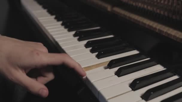 Homem Duas Mãos Toca Música Clássica Suave Piano Cauda Pianista — Vídeo de Stock