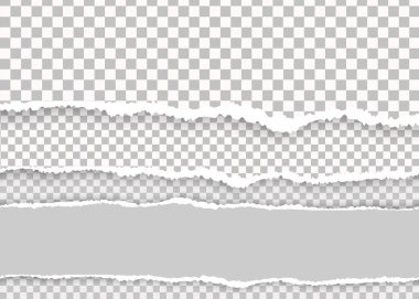 Parça yırtılmış kağıt