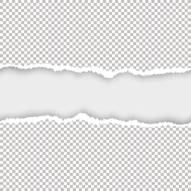 Parça yırtılmış kağıt