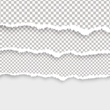 Parça yırtılmış kağıt