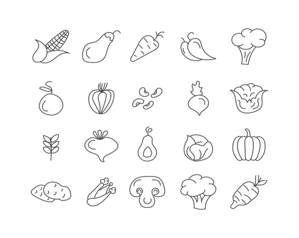 Définir les légumes plats. — Image vectorielle