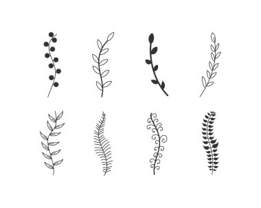 Yapraklar, çiçekler, girdaplar